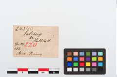 Etiketten zu Bronzegehänge (NHMW-PRAE-024340)